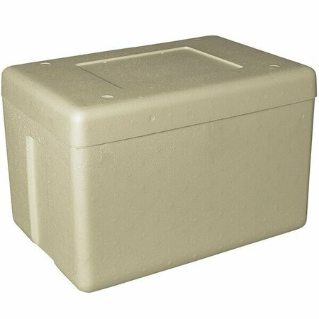 PLASTILITE Insulated Biodegradable Cooler 19 1/2'' x 12 1/2'' x 12 1/2'' - 1 1/2'' Thick 451RPC50PLT